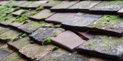 Great Malvern roof repair costs
